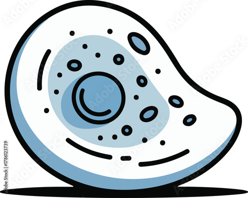 Amoeba Cell Microorganism Illustration biology science