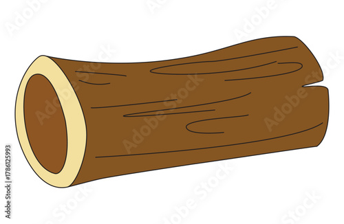 A smooth brown wooden log lying on ground