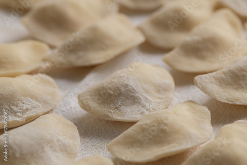 Close Up Traditional Raw Ukrainian Varenyky