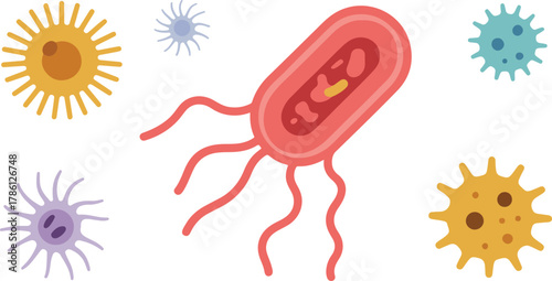 Collection of Diverse Microbes and Bacteria on White