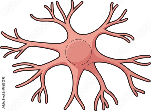 Pink neuron cell with branching dendrites on white background