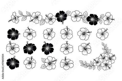 Hibiscus Flower Collection