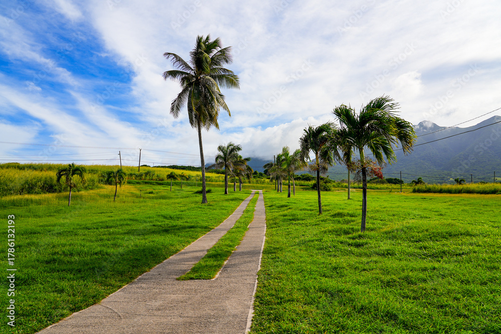 Fototapeta premium St. John's Church in Saint John Capesterre Parish on Saint Kitts island along the coast of the Atlantic Ocean in the Lesser Antilles, Caribbean