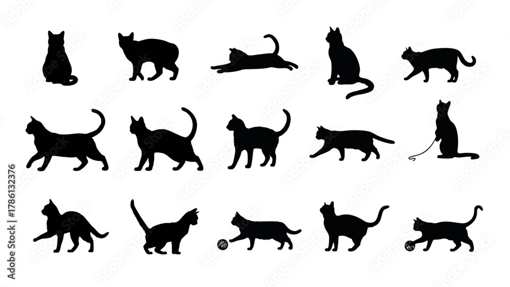 Obraz premium シルエットの猫