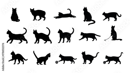 シルエットの猫