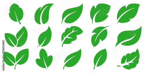 Green leaves icon set isolated on a white background. Vector illustration representing vegan, tree, plant, fresh, energy and healthy nutrition concept, ideal for eco-friendly designs.
