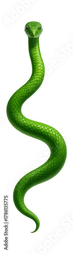 Sleek green snake featuring vibrant, unblemished scales and a slender body.