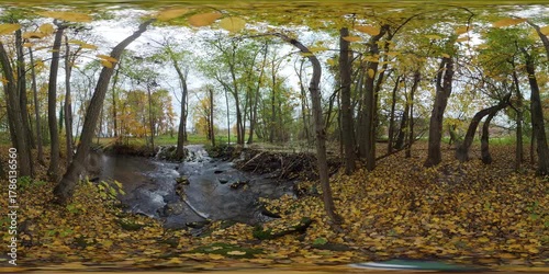  VR360, 360VR, Ein Biberdamm staut einen Bach im Auwald, Herbst, Natur wird umgestaltet im Naturpark Spessart, Bayern