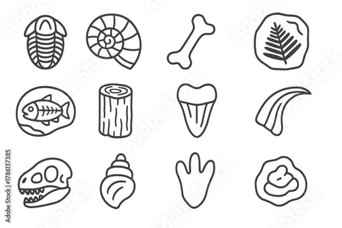 Fossil Icon Collection. Line style icons of fossil specimens: trilobite, ammonite, dinosaur bone, fern imprint; fish fossil,