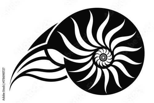 nautilus shell black and white silhouette on white background