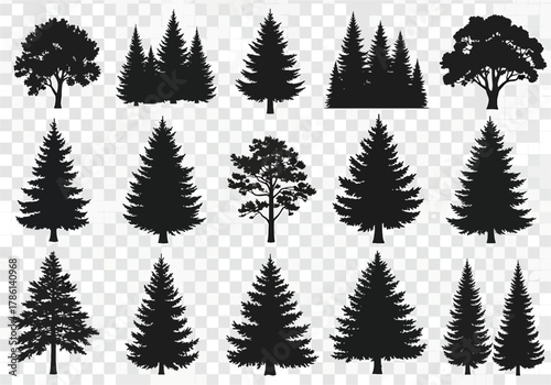 Collection of Black Silhouettes of Various Trees and Conifers, Realistic Forest Elements, Isolated on Transparent Background, Vector Graphics