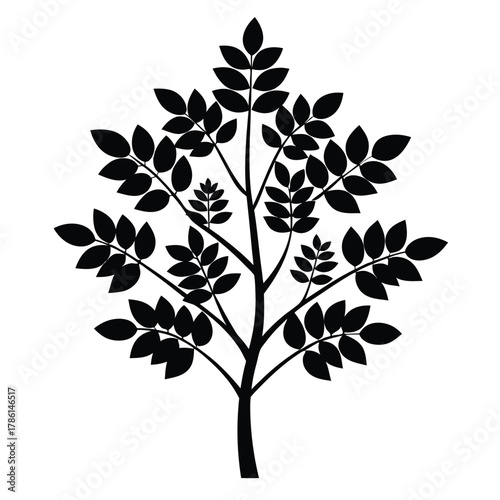 moringa black and white silhouette on white background