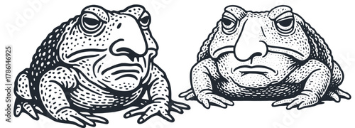 A set of two grumpy, sullen toad characters with human faces. Surreal vector illustration in a classic black and white engraving or woodcut art style.