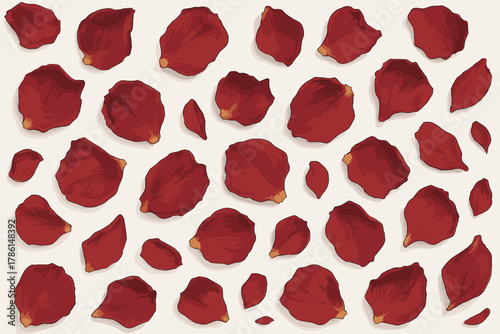 Dried Rose Petals. Flat lay of dried red rose petals scattered on a white background, romantic and elegant, soft vector