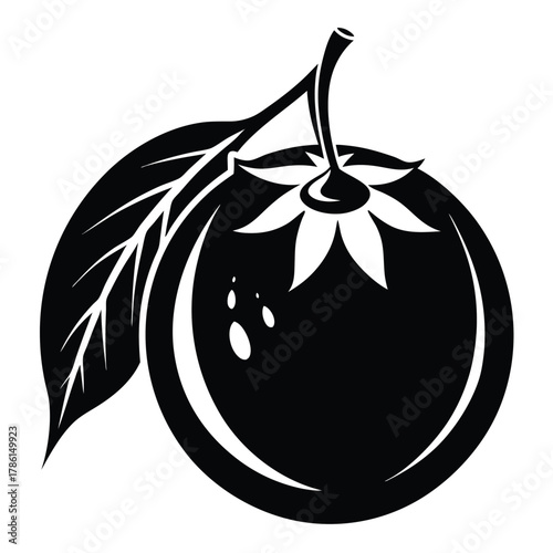 monk fruit black and white silhouette on white background