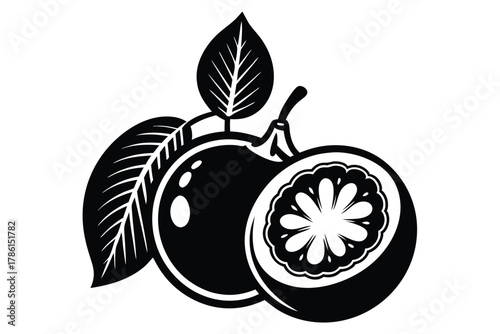 monk fruit black and white silhouette on white background