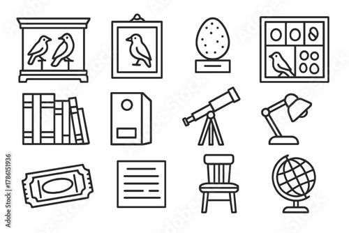 Ornithology Museum Icons. Line style icons of ornithology museum: display cabinet, framed bird, labeled egg, specimen drawer;