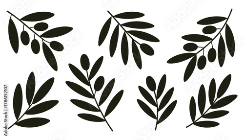 Collection of six dark green olive branches with olives on a white background olive tree fruit