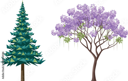 Stylized evergreen tree and purple-flowered deciduous tree side by side, botanical contrast, seasonal foliage, nature diversity, spring bloom, forest flora, educational illustration, landscape design 