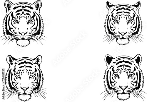 Tiger Head Illustration Set