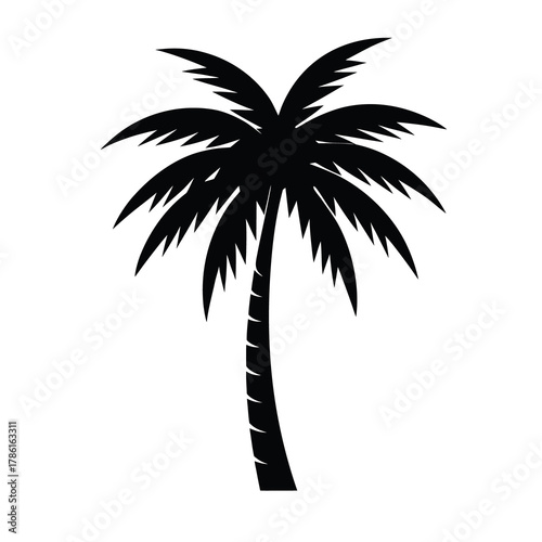 Silhouette of a palm tree  Illustration on White Background