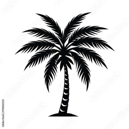 Silhouette of a palm tree  Illustration on White Background