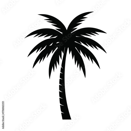 Silhouette of a palm tree  Illustration on White Background