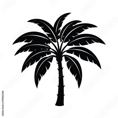 Silhouette of a palm tree  Illustration on White Background