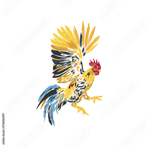 rooster with his fighting action without background