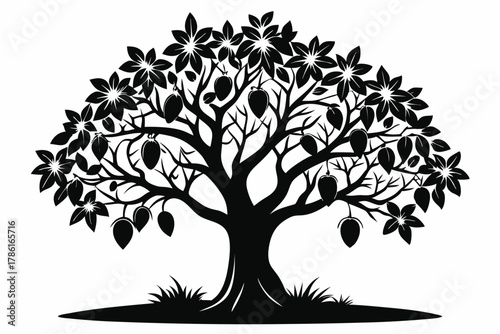 mango tree black and white silhouette on white background