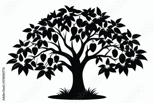 mango tree black and white silhouette on white background