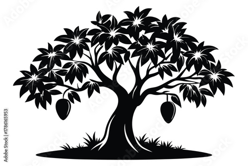 mango tree black and white silhouette on white background