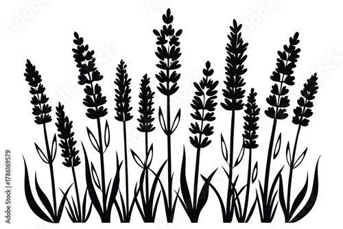 Black and white lavender flowers vector pattern