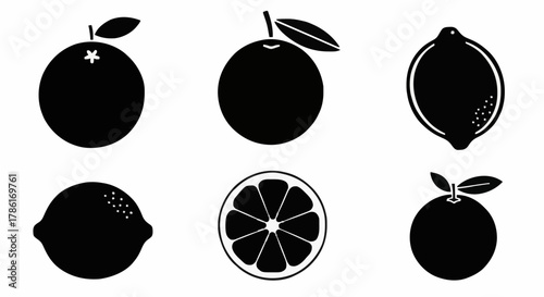 Citrus Fruit Icons Featuring Oranges, Lemons, and a Segmented Orange, in Minimalist Design
