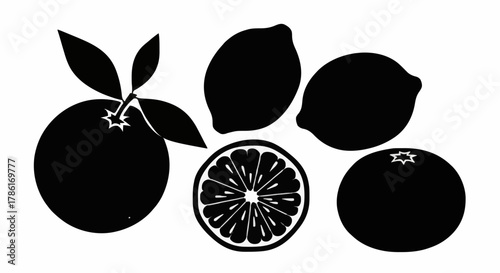 Black and White Citrus Fruit Silhouette Orange, Lemon, and Lime Designs for Graphic Resources