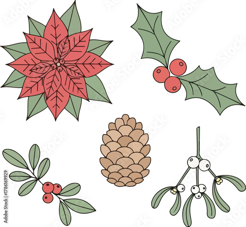 Flat lay illustration of Christmas flowers and foliage, including a red poinsettia, holly, mistletoe, and pine cone on white background.