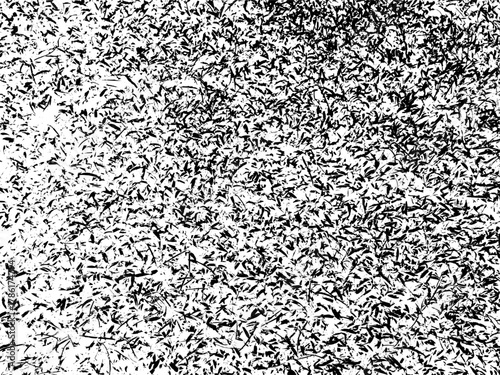 black and white seamless pattern, grass vector