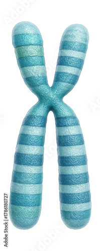 Chromosome banding shows a duplication on the short arm of chromosome 17.