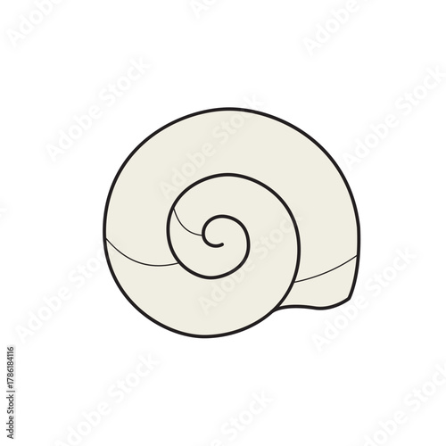 Vector illustration of a nautilus or snail shell spiral, symbolizing nature, geometry, evolution, marine life, and coastal themes.