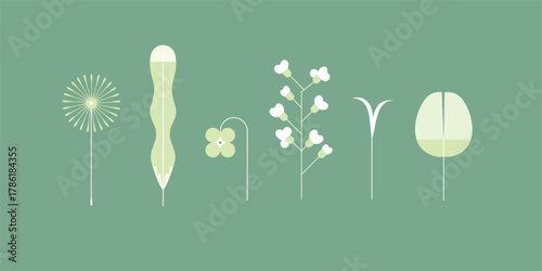 Flower colorful elements collection drawing with light color on green background