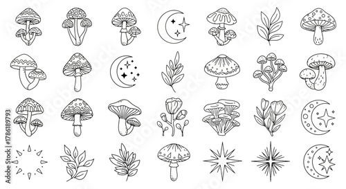 Aesthetic line art design featuring celestial elements and fungi illustrations evoking whimsical