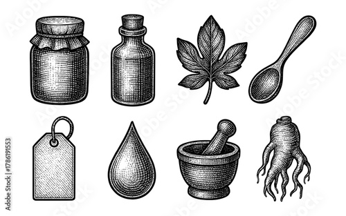Vintage herbal apothecary elements with detailed engraving style