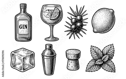 Vintage style gin and cocktail elements with botanicals, fruits, and bar tools