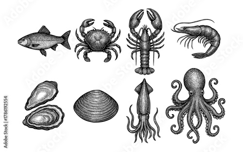 Detailed vintage aquatic creatures collection featuring marine life with intricate designs