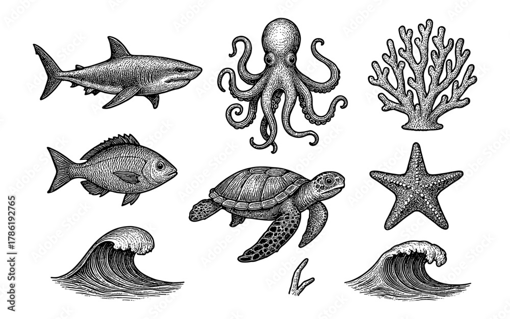 Fototapeta premium Detailed marine life collection featuring ocean creatures and coral