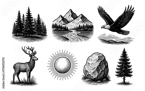 Vintage nature elements collection: mountains, wildlife, and trees in detailed engravings