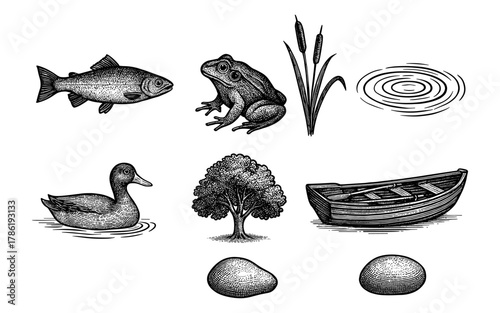 Hand drawn vintage nature elements with lake scenery including fish, frog, duck, rowboat, and cattails