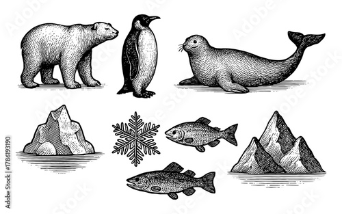 Detailed black and white arctic animals with ice elements