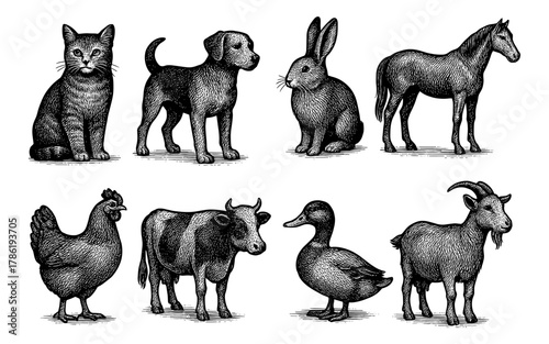 Vintage engraving style farm and domestic animals collection in black and white