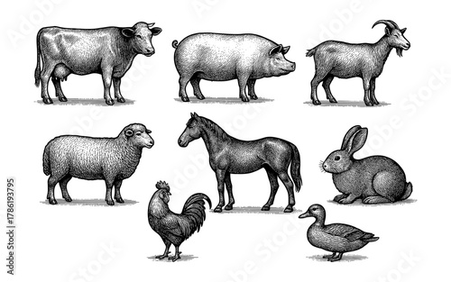Vintage farm animal sketches collection: cow, pig, goat, sheep, horse, rabbit, chicken, duck
